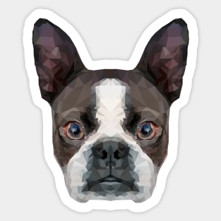 Boston Terrier Sticker